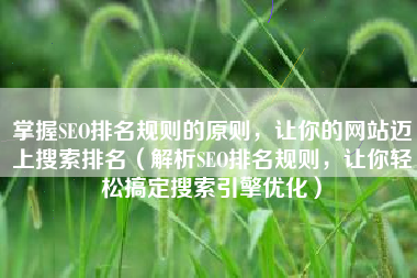 掌握SEO排名规则的原则，让你的网站迈上搜索排名（解析SEO排名规则，让你轻松搞定搜索引擎优化）