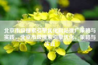 北京市级搜索引擎优化网站推广策略与实践，北京市级搜索引擎优化，策略与实践