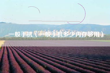 一般手机（一般手机多少内存够用）