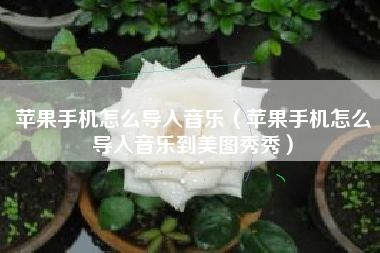 苹果手机怎么导入音乐（苹果手机怎么导入音乐到美图秀秀）