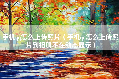 手机qq怎么上传照片（手机qq怎么上传照片到相册不在动态显示）