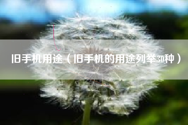 旧手机用途（旧手机的用途列举30种）