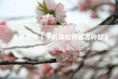 手机除胶（手机除胶神器哪种好）