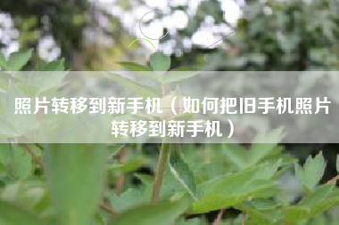 照片转移到新手机（如何把旧手机照片转移到新手机）