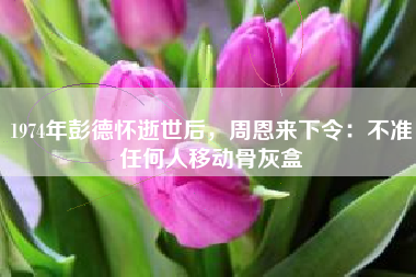1974年彭德怀逝世后，周恩来下令：不准任何人移动骨灰盒