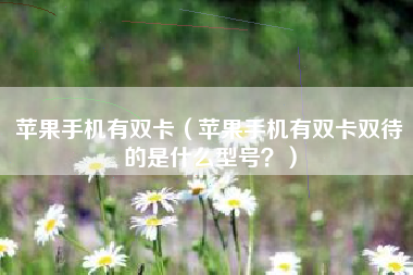 苹果手机有双卡（苹果手机有双卡双待的是什么型号？）