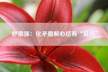 舒德强：化矛盾解心结有“良方”