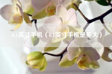 6.1英寸手机（6.1英寸手机是多大）
