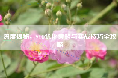 深度揭秘，SEO优化策略与实战技巧全攻略