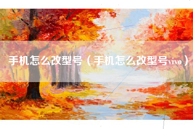 手机怎么改型号（手机怎么改型号vivo）