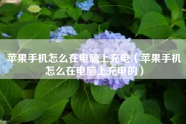 苹果手机怎么在电脑上充电（苹果手机怎么在电脑上充电的）