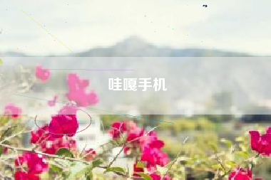 哇嘎手机