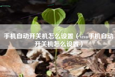 手机自动开关机怎么设置（vivo手机自动开关机怎么设置）