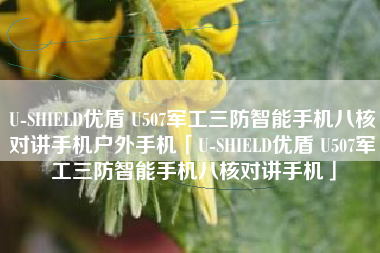 U-SHIELD优盾 U507军工三防智能手机八核对讲手机户外手机「U-SHIELD优盾 U507军工三防智能手机八核对讲手机」