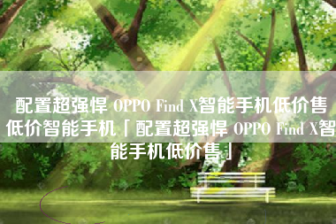 配置超强悍 OPPO Find X智能手机低价售低价智能手机「配置超强悍 OPPO Find X智能手机低价售」