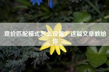 竞价匹配模式怎么设置？这篇文章教给你