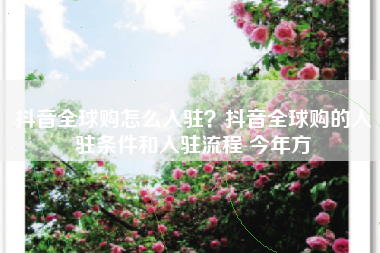 抖音全球购怎么入驻？抖音全球购的入驻条件和入驻流程 今年方